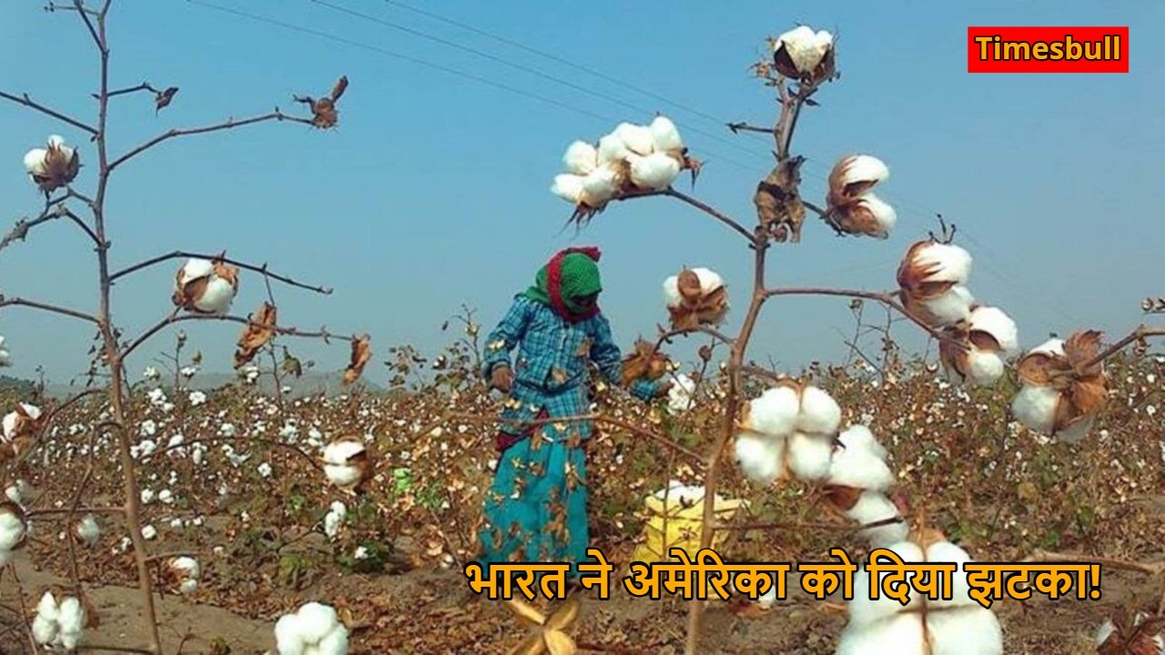 Trump Tariffs on India