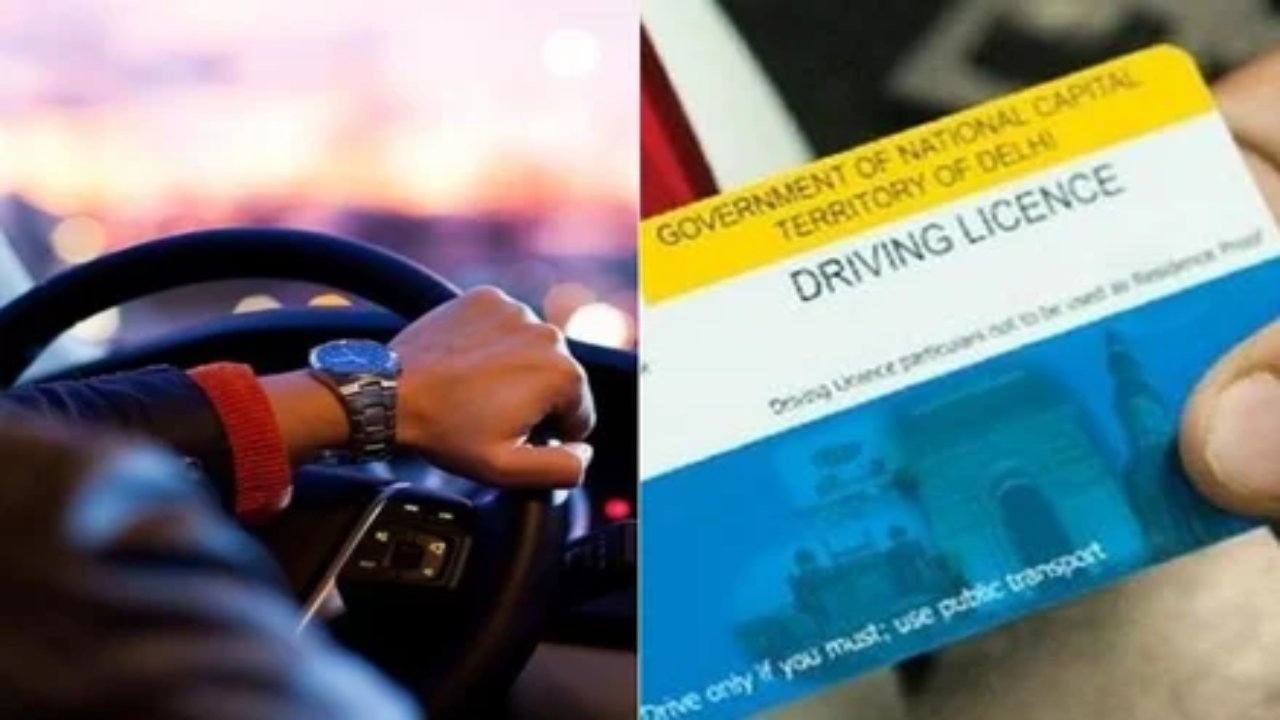 driving licence