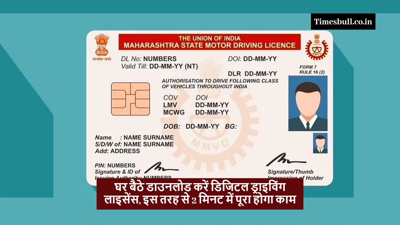 driving licence